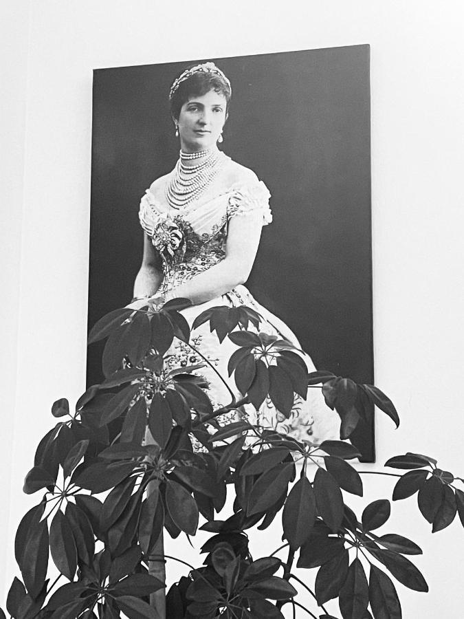 Hotel Regina Margherita ボルディゲーラ エクステリア 写真